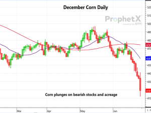 Corn Hit With Double Whammy of Higher Acreage, Stocks in USDA Reports