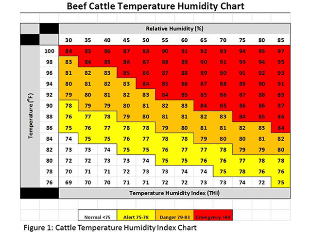 Cattle producers can determine how to handle the risk of heat stress by referring to the Beef Cattle Temperature Humidity Chart. (Chart courtesy of Rob Eirich, UNL Extension)