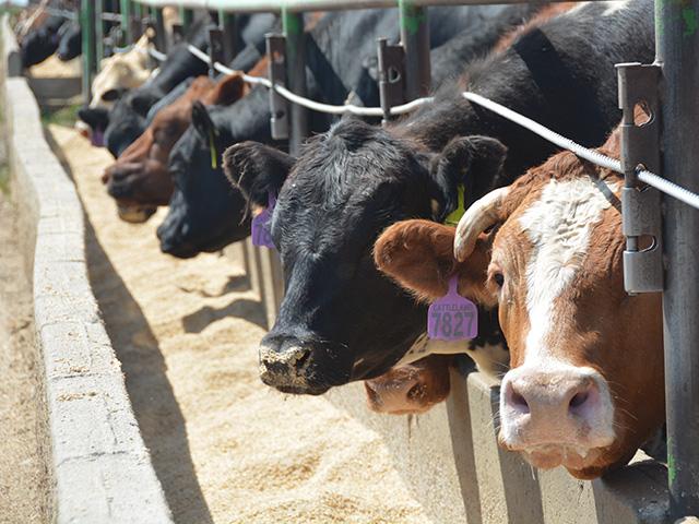 Agriculture groups filed a court brief defending the U.S. Environmental Protection Agency in an ongoing concentrated animal feeding operations case. (DTN file photo by Chris Clayton)