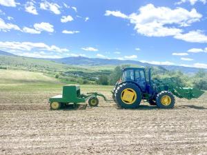 Time to Patch and Pray for Good Crop Growing Weather