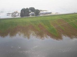 How Long Can Flooded Crops Survive?