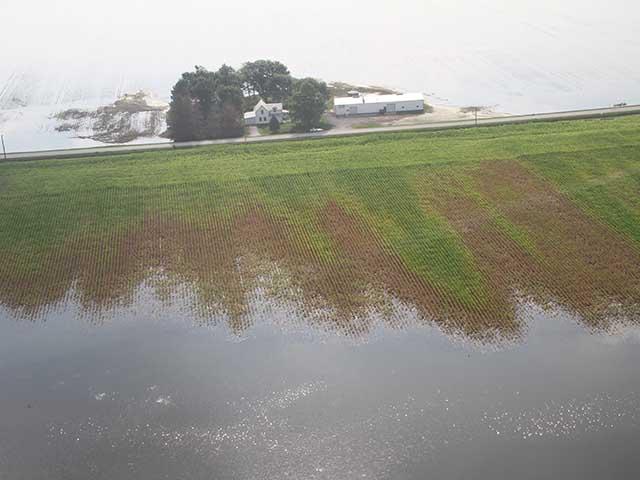 The view from the air on July 10, 2011 after the Missouri River flooded crops in the Corn Belt. (DTN file photo by Elaine Shein)