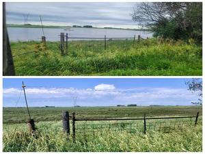 Flood Waters Lead to Loss of Cattle, Crops and Property Across Northwest Iowa