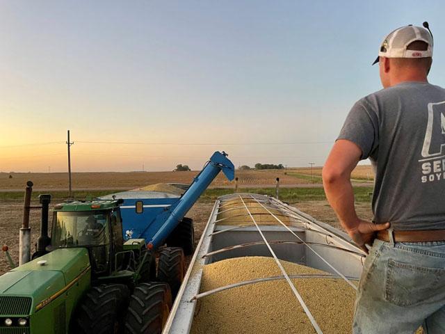 Bonus target contracts can be an option to consider when marketing your new-crop corn. (DTN file photo)