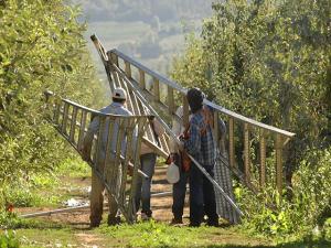USDA Provides $50 Million to Farms for Migrant Labor Program