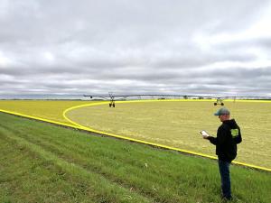 USDA Modernizes FSA, RMA Acreage Reporting by Allowing Electronic Submissions in 2024