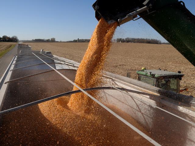 The Andersons announced its intent to explore a possible ownership interest in Skyland Grains, LLC. (DTN file photo)