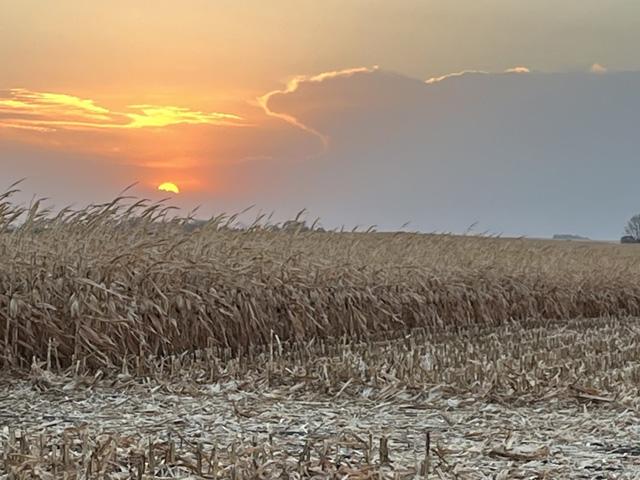 Corn harvest in southern Brazil has been slow, but next week's forecast is more promising. (DTN photo by Teresa Wells)