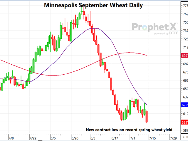 The daily chart of Minneapolis September wheat shows the bearish reaction to the July WASDE and the fall to a new contract low, following a record spring wheat yield and the highest hard red spring production in six years. (DTN ProphetX chart)