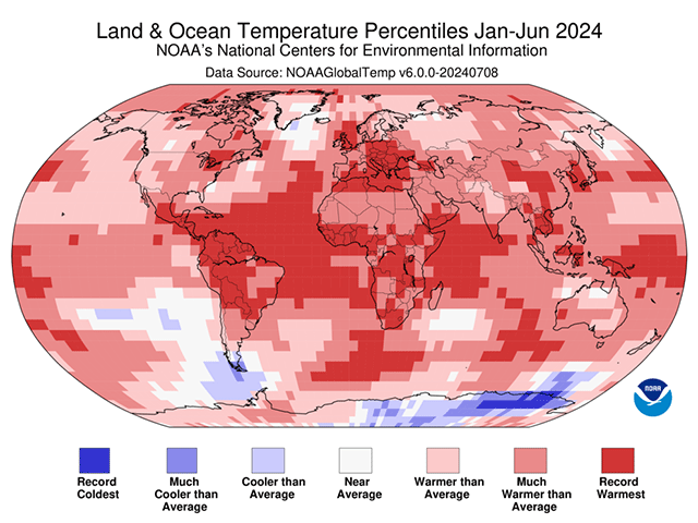 World temperatures, whether land or sea, were by and large record warm during the first six months of 2024. (NOAA/NCEI graphic)