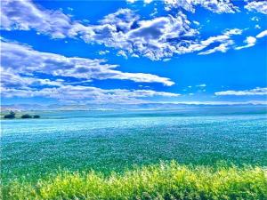 Farmers Discuss Mending Fences, Roads, Machinery and Life