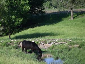 Water Source Management Can Benefit Water Quality, Grazing Conditions