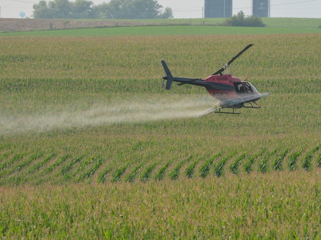 Want to know the potential return on investment of a fungicide application in corn? There's a new app for that and another on fungicide efficacy available free and online. (DTN file photo)
