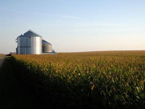 Michigan Farmer Motions to Dismiss Wire Fraud, Tells Court Evidence Lacking