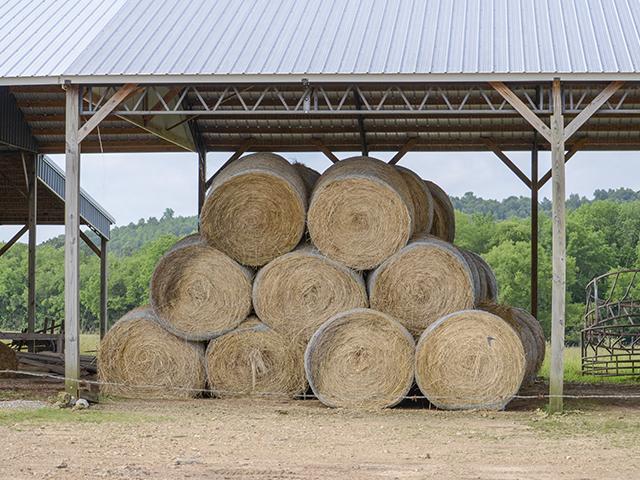 Midwestern hay prices have decreased dramatically from earlier this spring, thanks to increased moisture levels leading to expanded forage production. (DTN file photo by Brent Warren)