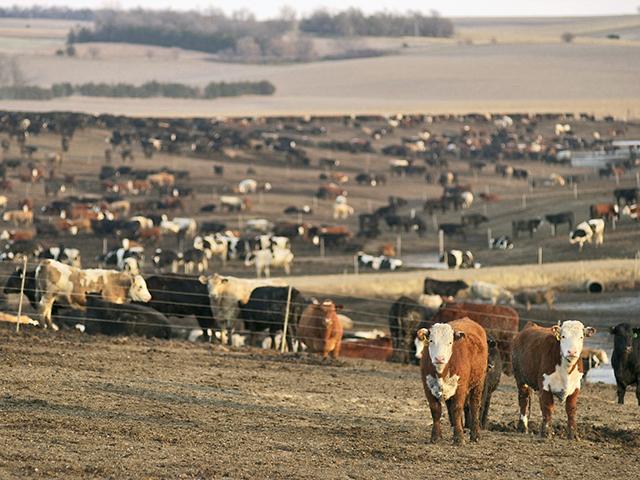 The Michigan Supreme Court sided with state regulators in an ongoing dispute over state regulations for concentrated animal feeding operations. (DTN file photo by Jim Patrico)