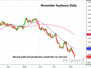Soybean Futures Crumble Following Increased Acres, Record Yield and Production