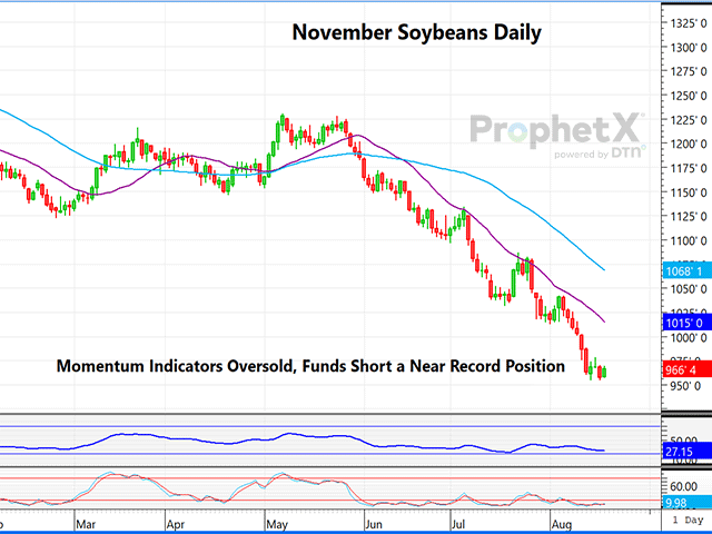 This is a daily chart of November soybeans, showing an extreme oversold condition and trading just above Friday's contract low. (DTN ProphetX chart)