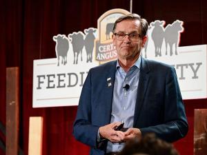 Ag Economist Recommends Ranchers Take Advantage of Low Feed Costs