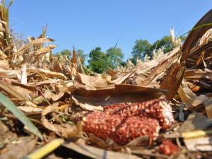 Nebraska Selected Site for SAF Production Plant Using Biomass Feedstocks