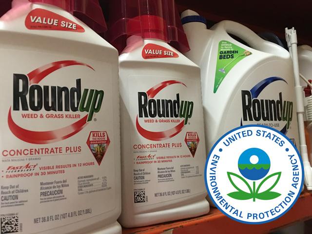 Attorneys general from 11 states petitioned the U.S. Environmental Protection Agency to act on glyphosate labels. (DTN file photo by Pam Smith)