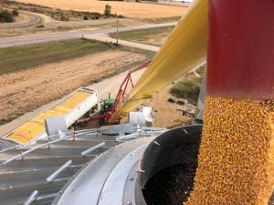 Iowa Farmers to Pay Grain Indemnity Fees at Least One More Year to Rebuild Fund