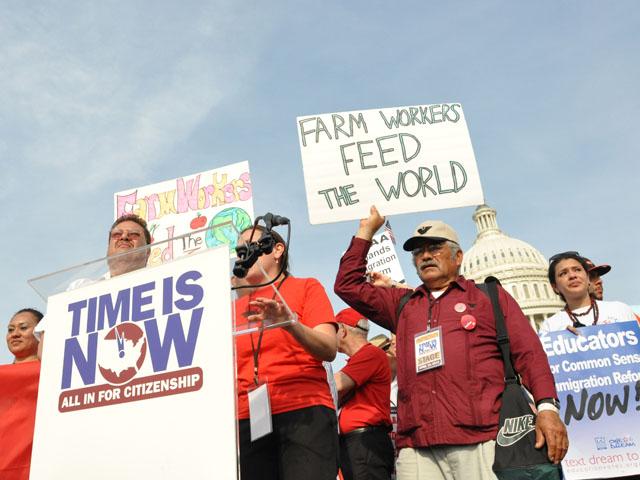 Farm workers at an immigration rally in April 2013 when they called on Congress to pass a bill that would legalize many undocumented workers. Legislative efforts have failed to pass over the past decade. Farm groups now find themselves at odds with former President Donald Trump who is pushing for more aggressive deportation plans if he wins in November. (DTN file photo by Chris Clayton)