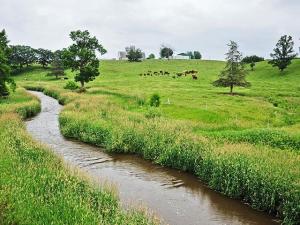 4 Management Practices to Help Your Pasture Recover From Drought Damage