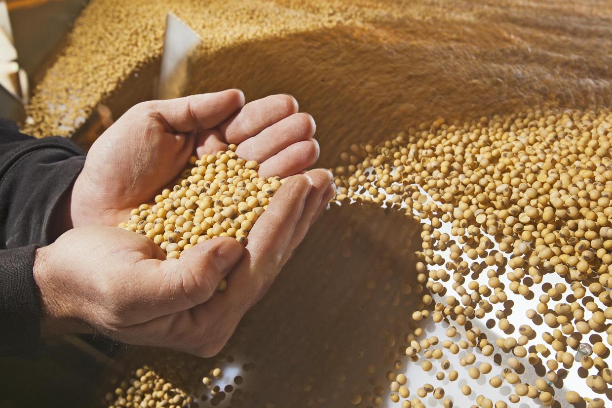 U.S. biofuel producers using oils to produce fuels are facing audits on where they source used cooking oils. (DTN file photo)