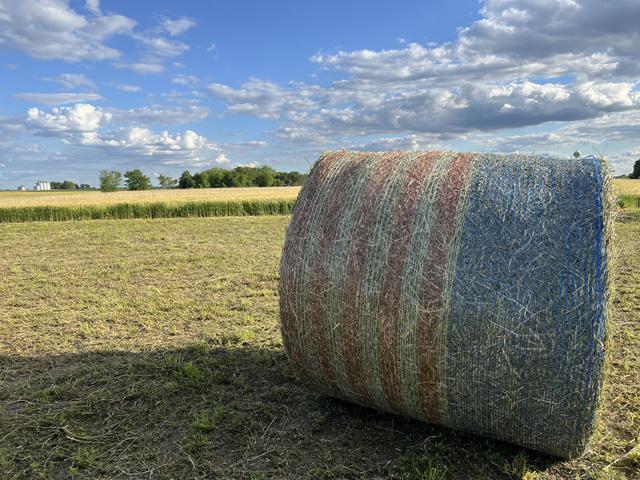 Buyers of hay need to take into consideration several different factors before purchasing forage. (DTN file photo)