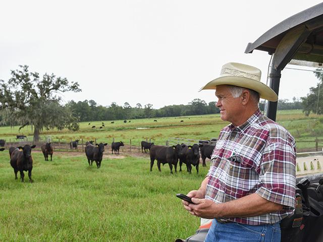 Waukeenah, Fla., commercial producer Sloan Walker uses careful selection to keep the performance high on his straight-bred cattle. (DTN/Progressive Farmer Photo by Becky Mills)