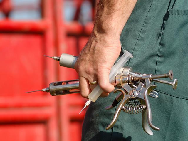 University of Missouri researchers are developing the first-ever vaccine to protect cattle from bovine anaplasmosis, a devastating tick-borne disease. (DTN file photo)