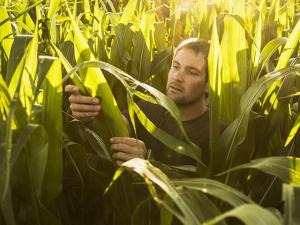 Voices for Agriculture: Millennial Farmer Zach Johnson Reflects on Past 8 Years