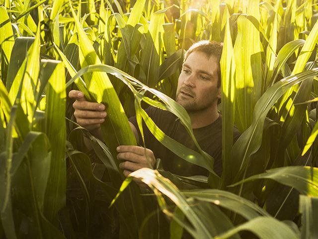 Zach Johnson has attracted hundreds of millions of views on social media, especially YouTube, of him sharing what goes on at his family's farm. (Photo by John Hayes)