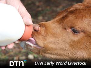 Hope Increased For Steady Cash Cattle Trade Friday