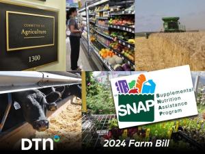 Bipartisan Talks Continue on Farm Bill Amid Calls for Emergency Relief