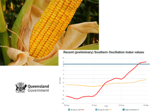 Late-Stage Corn Growth Collides With La Nina