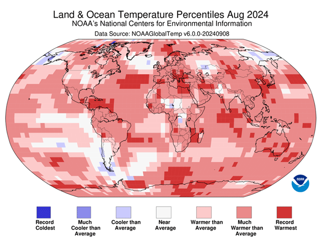 August 2024 was Earth's hottest month in 175 years of record keeping. The January to August period was the warmest on record worldwide. (NOAA graphic)