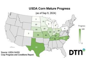 USDA Crop Progress: Corn 5% Harvested, Rated 64% Good to Excellent as of Sept. 8