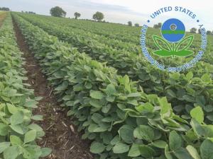 EPA Grants $15 Million to Study Agriculture Effects of ‘Forever Chemicals’