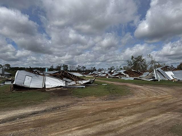 Damaged poultry barns in Coffee County, Georgia, after Hurricane Helene came crashing through. The storm is estimated to cause at least $15 billion in damage across six states. (Photo courtesy of Georgia Farm Bureau Federation. Submitted by Angie O'Steen)