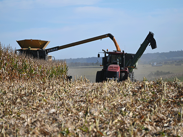 A farmer harvesting corn last year. There are few commodity payments expected under ARC and PLC next month under last year's crop. Meanwhile corn, wheat and soybean producers are all forecast to see double-digit declines in income from their crops this year. (DTN file photo)