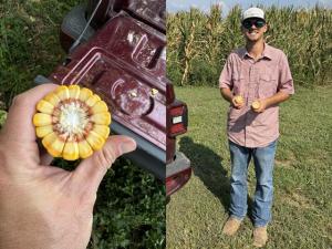 Farmers Face Wacky Weather and Crop Variations