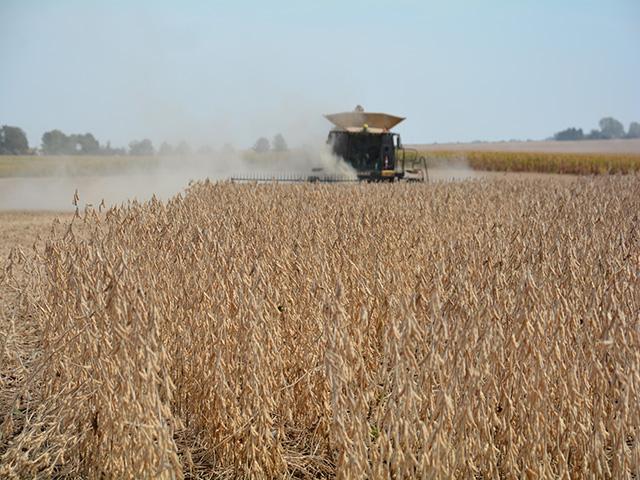 With harvest in full swing, President Donald Trump is expected to announce an aid package to farmers that could go has high as $15 billion. Beyond soybeans, farmers of specialty crops also are calling for aid due to lost exports. (DTN file photo)