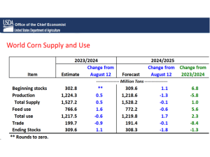 What’s Next for World Corn Prices Following September USDA Reports?