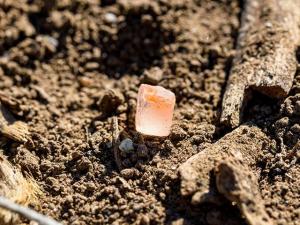 USDA Awards $120M to 6 Fertilizer Production Projects