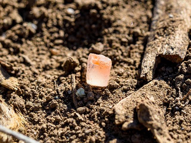 USDA announced another six Fertilizer Production Expansion Program (FPEP) projects totaling $120 million. The projects are in Arkansas, California, Illinois, South Dakota, Washington and Wisconsin. (DTN file photo)