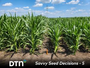 Short Corn Could Be Coming to Every Farm Shortly