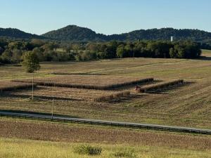 Farmers Talk Harvest Hiccups, Hurricanes and Planning for 2025