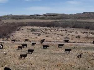 EPA Amends Complaint v. Idaho Ranch, Details Alleged CWA Violations
